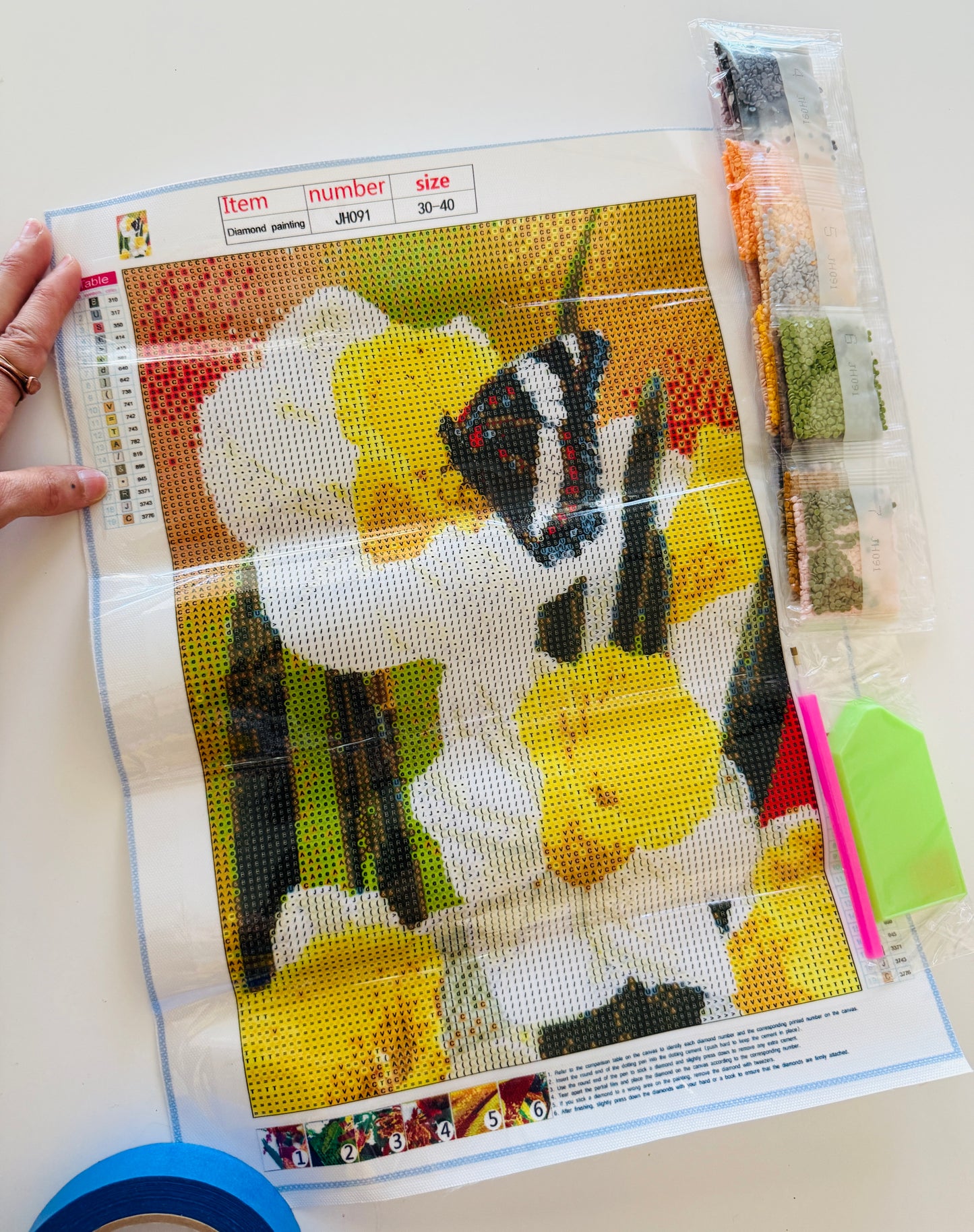 Butterfly and Daffodils Diamond Painting Kit