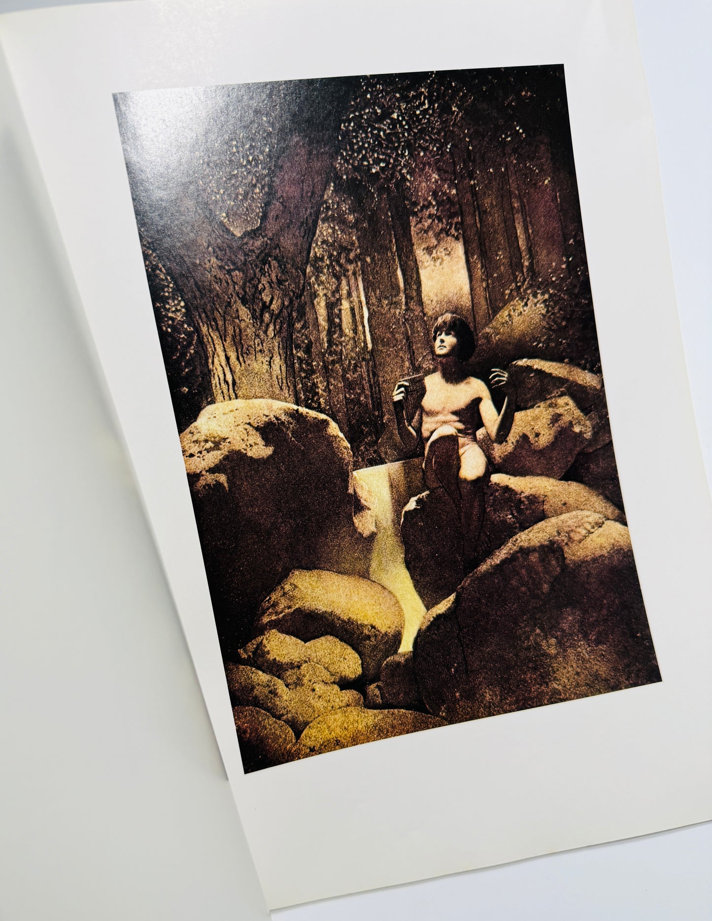 The Fantastic Kingdom