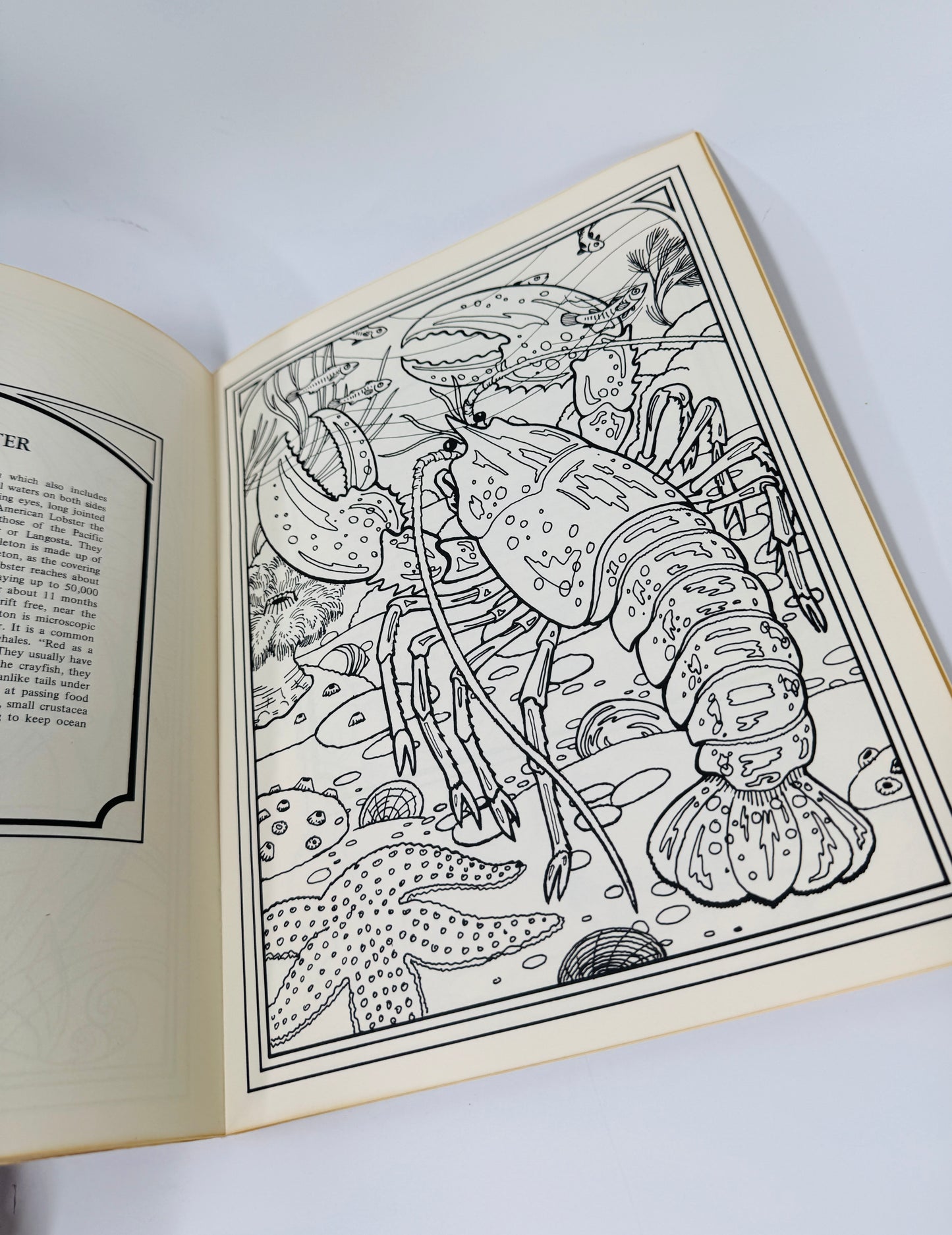 North American Sea Life Coloring Book
