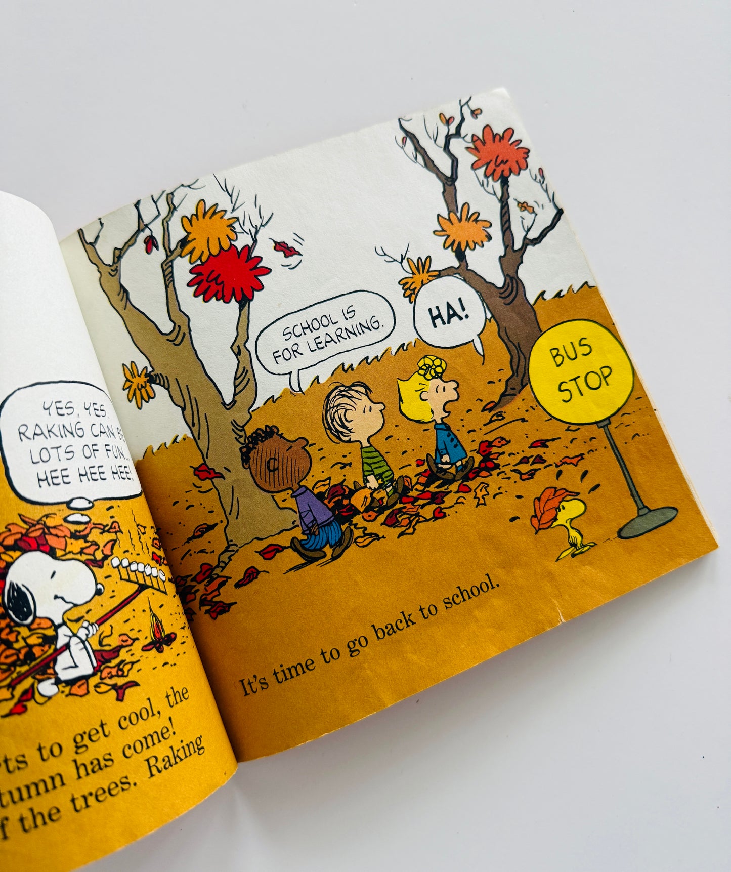 Snoopy’s Facts & Fun Book About Seasons