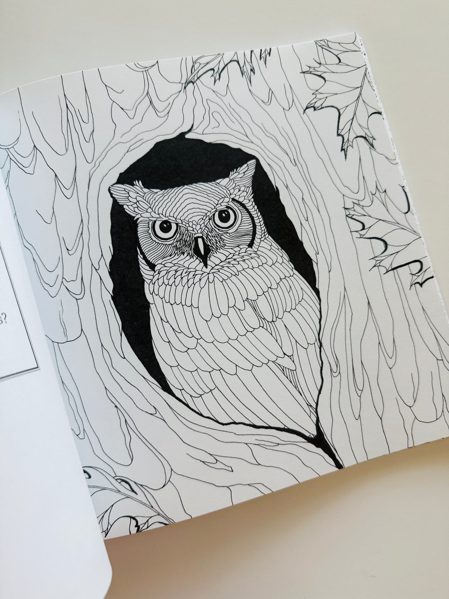 All Things Bright & Beautiful Coloring Book