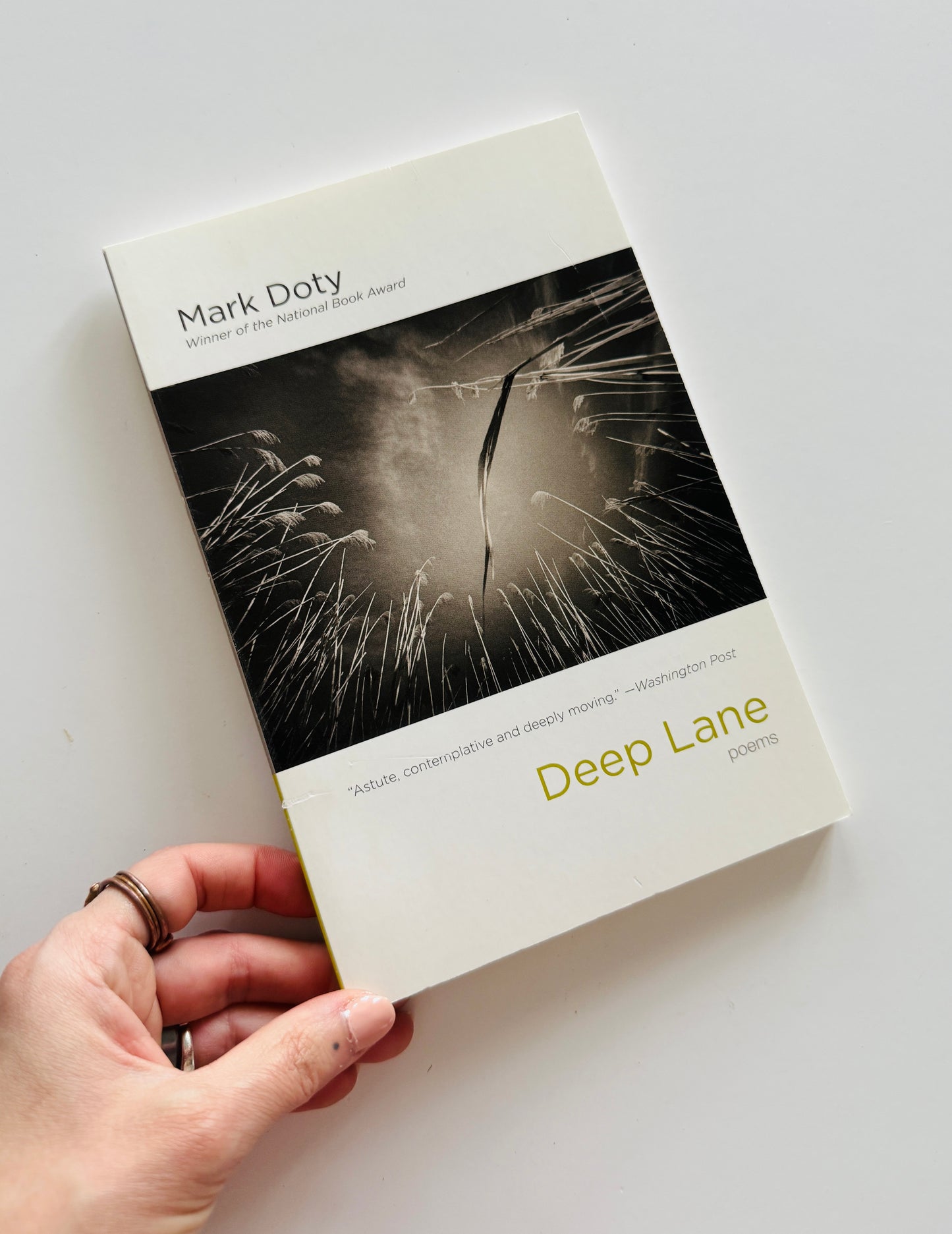Deep Lane by Mark Doty Poetry Book