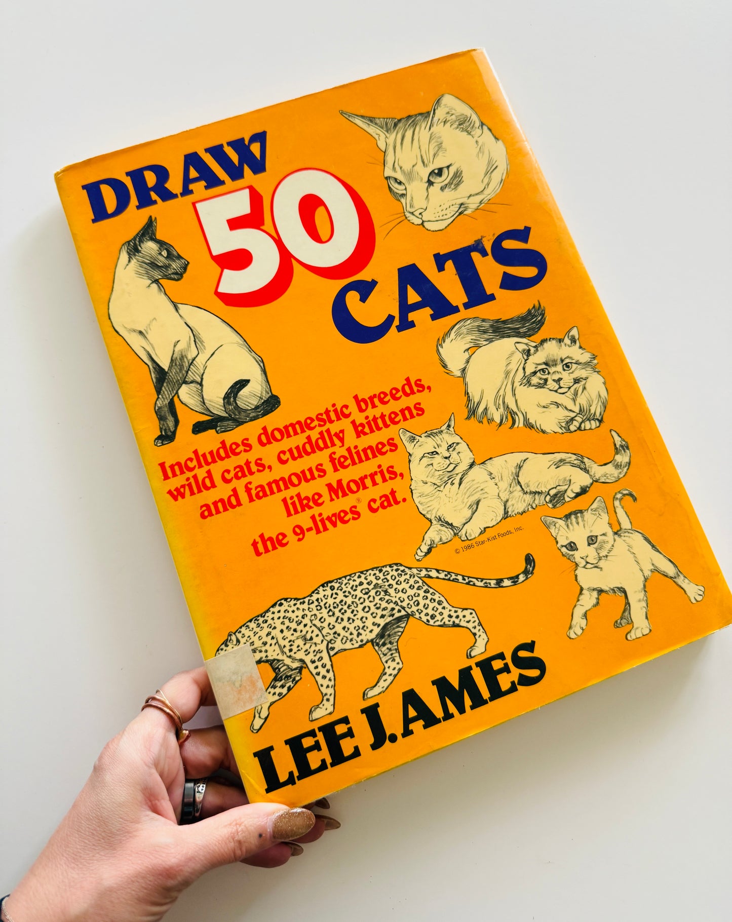 Draw 50 Cats Art Book
