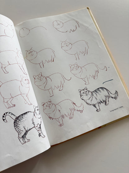 Draw 50 Cats Art Book