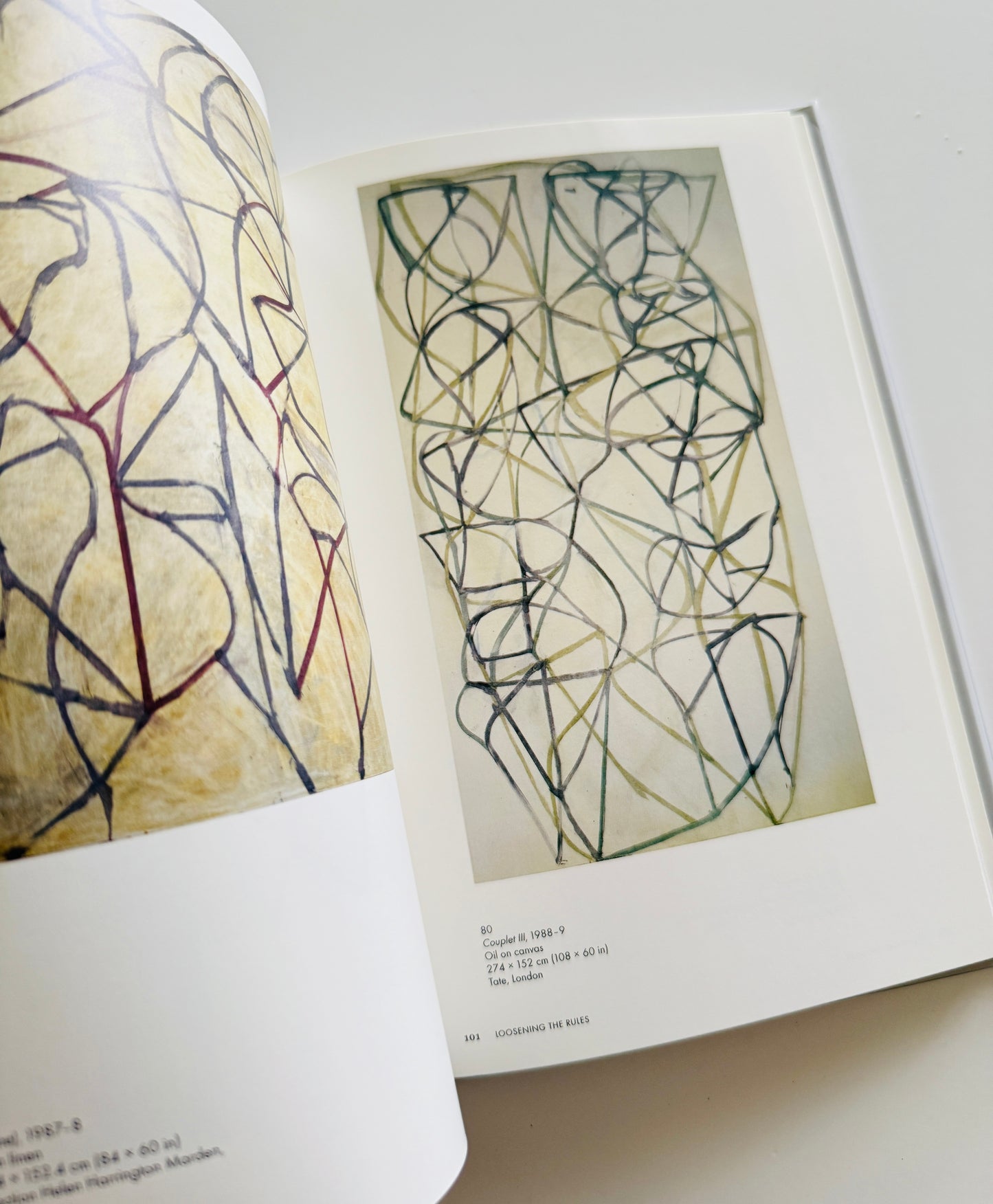 Brice Marden Art Book