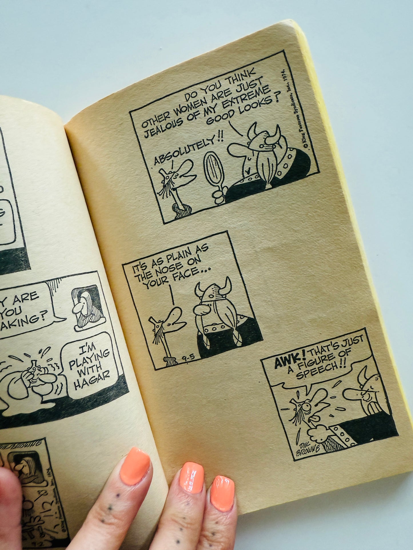 Hagar the Horrible Comic Book