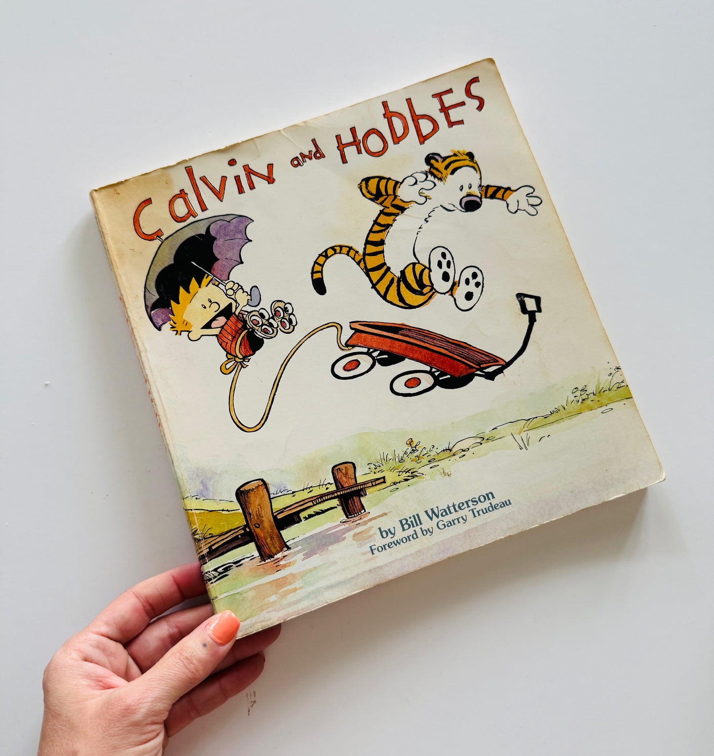 Calvin and Hobbes Comic Book