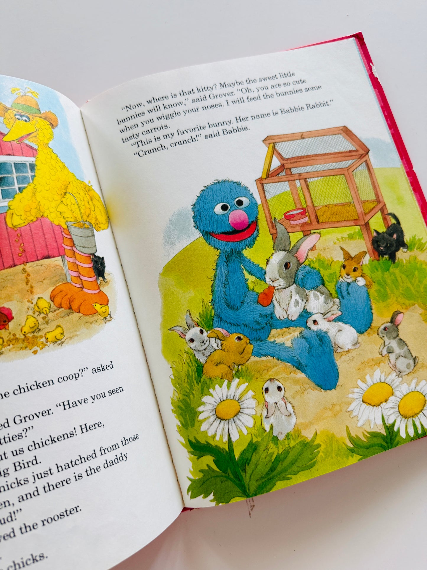 Baby Animals on the Farm Sesame Street Kids Book