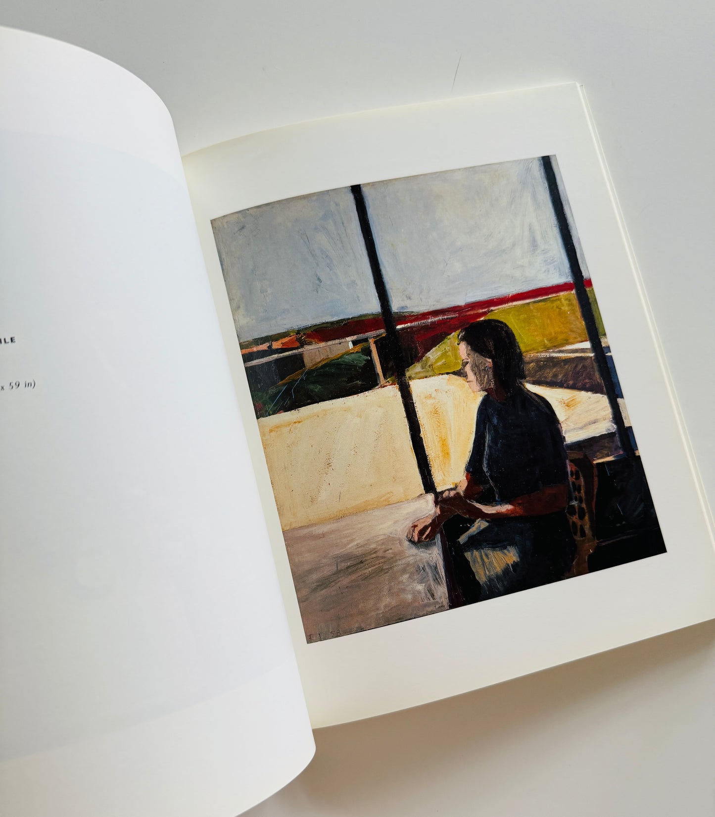 Richard Diebenkorn Art Book