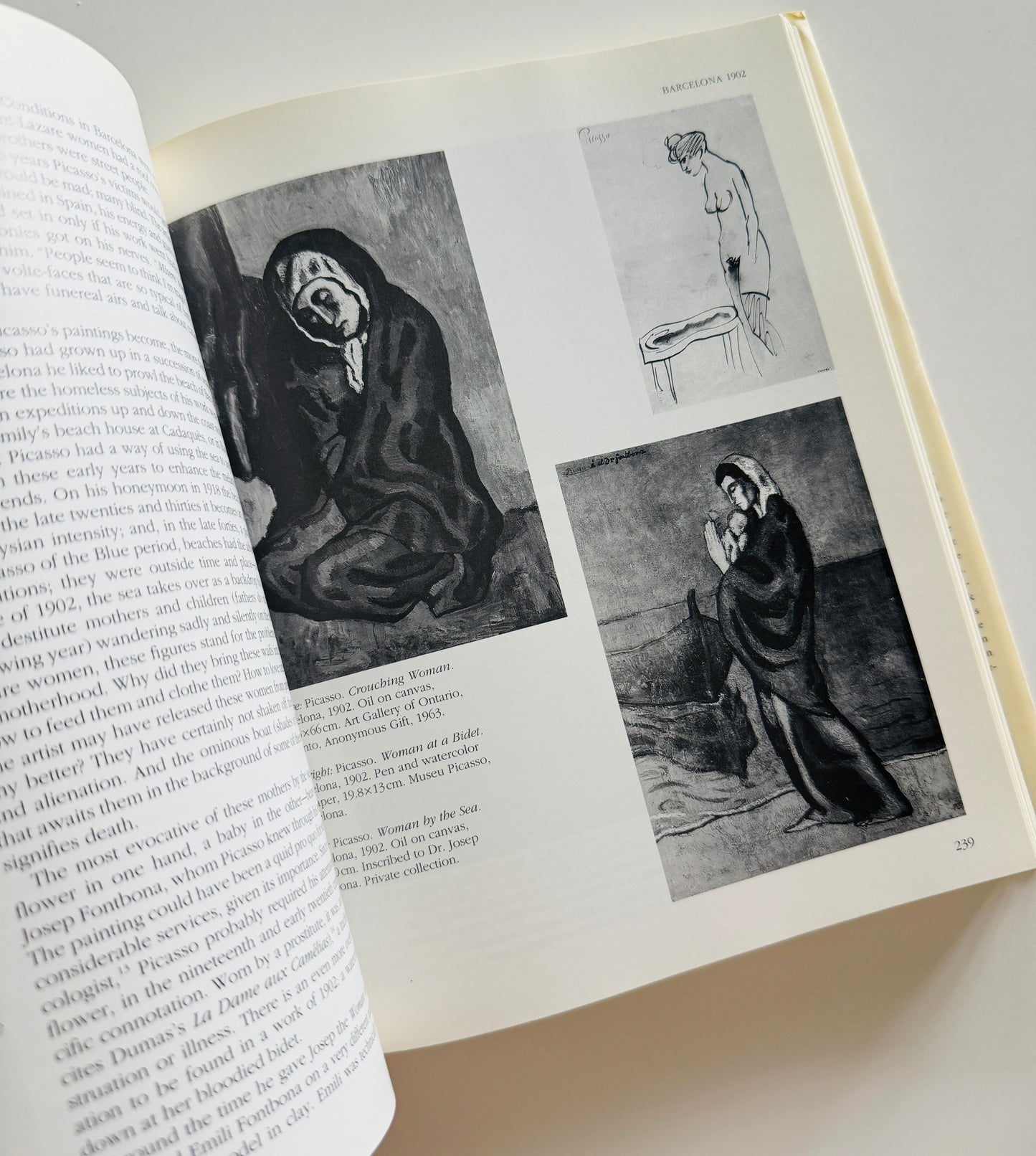A Life of Picasso Art Book
