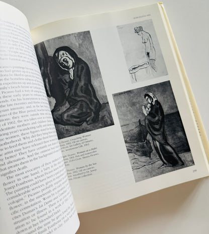 A Life of Picasso Art Book