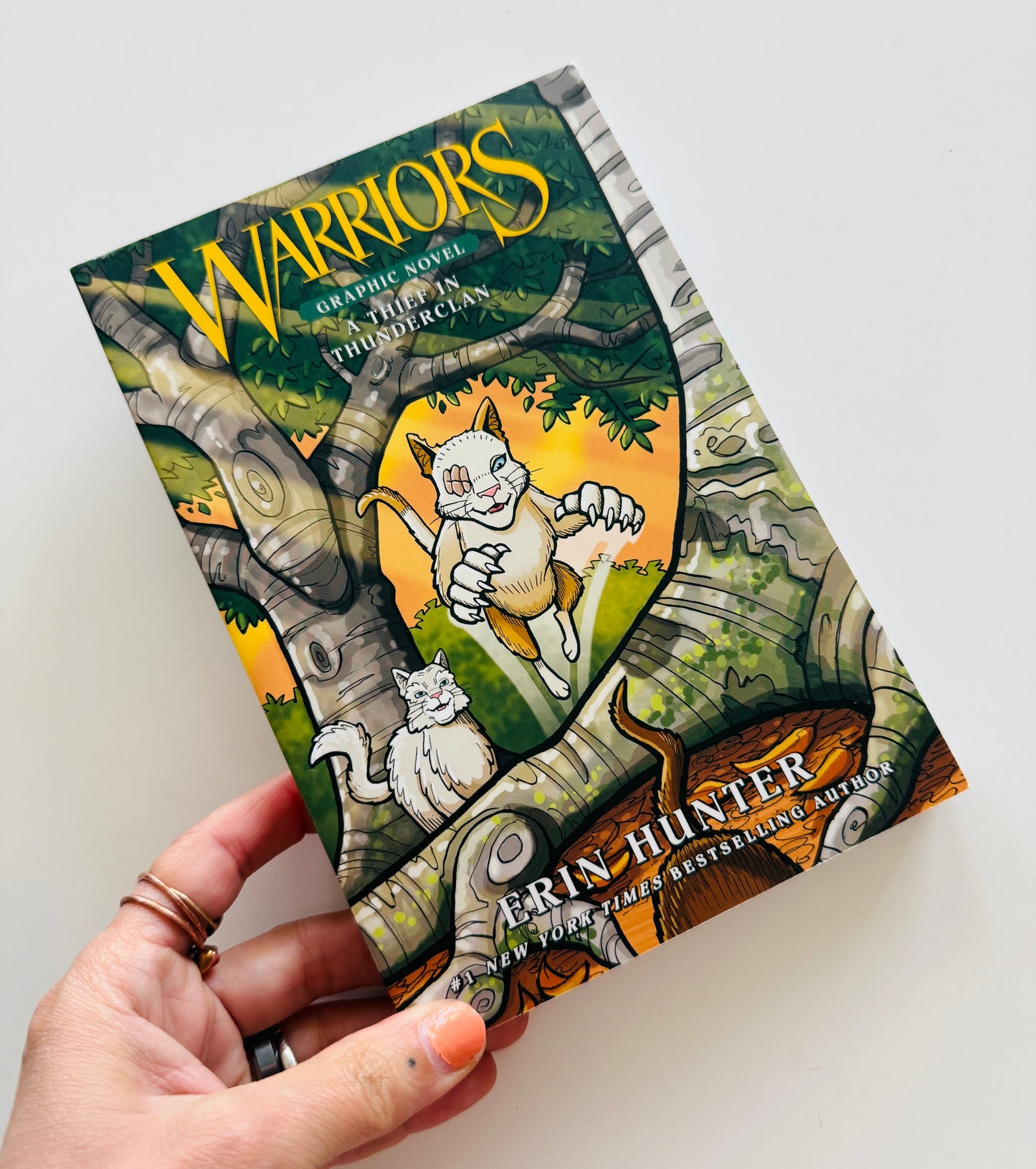 Warriors Graphic Novel Book