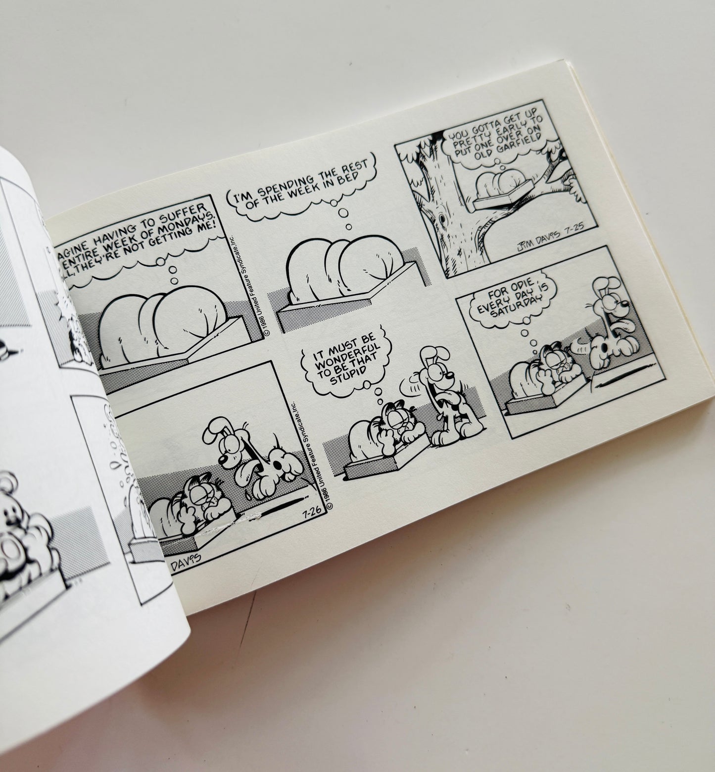 Garfield Swallows his Pride