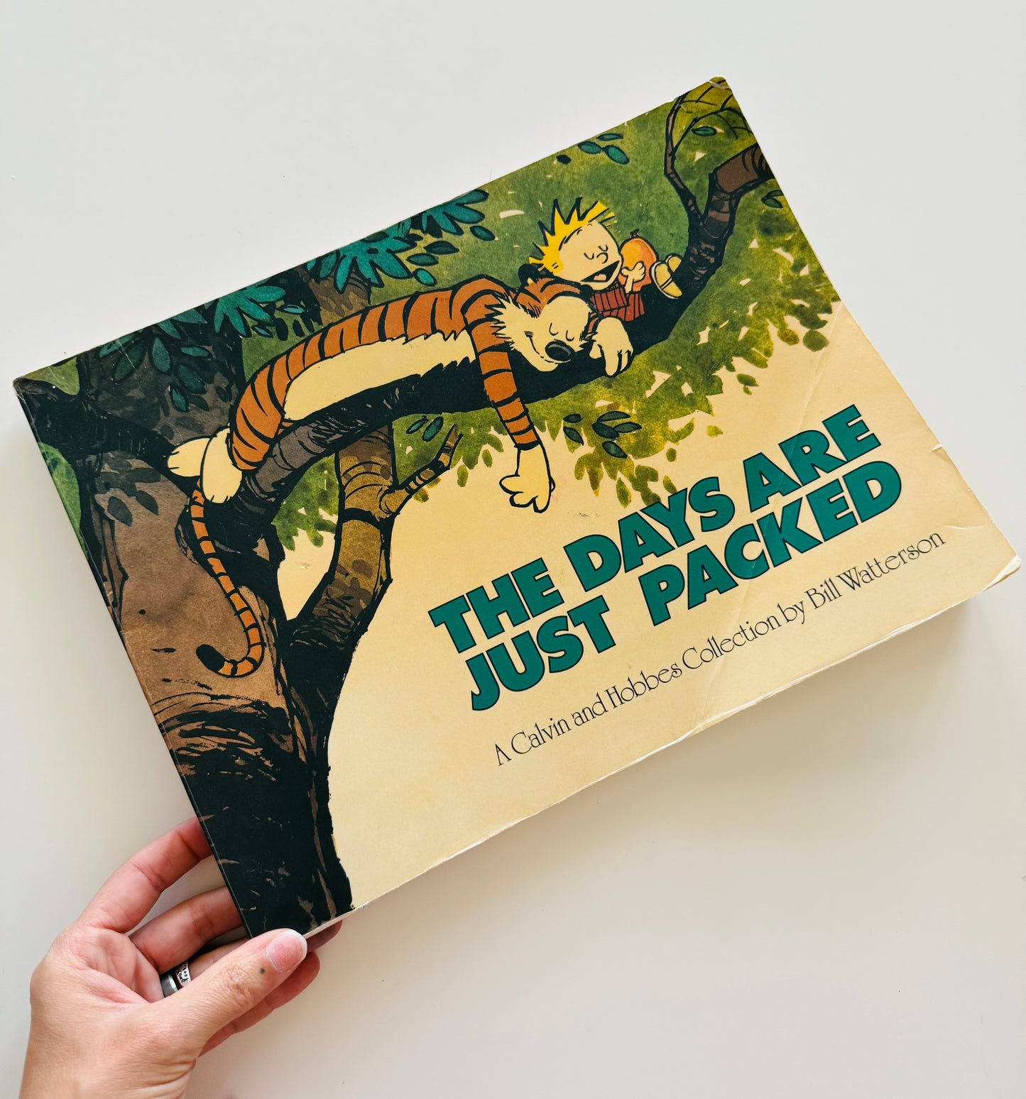 The Days Are Just Packed Comic Book