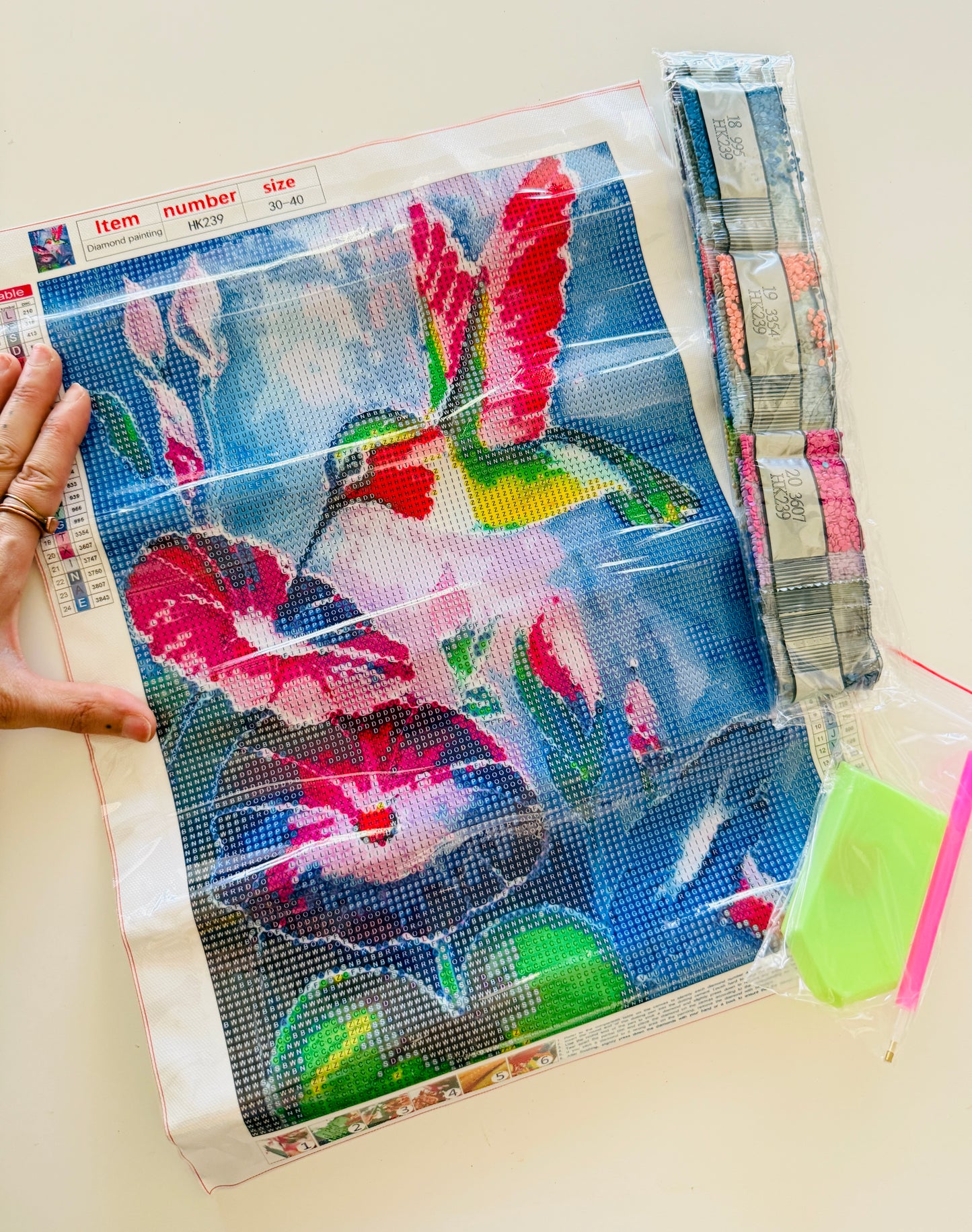 Hummingbird Diamond Painting Kit