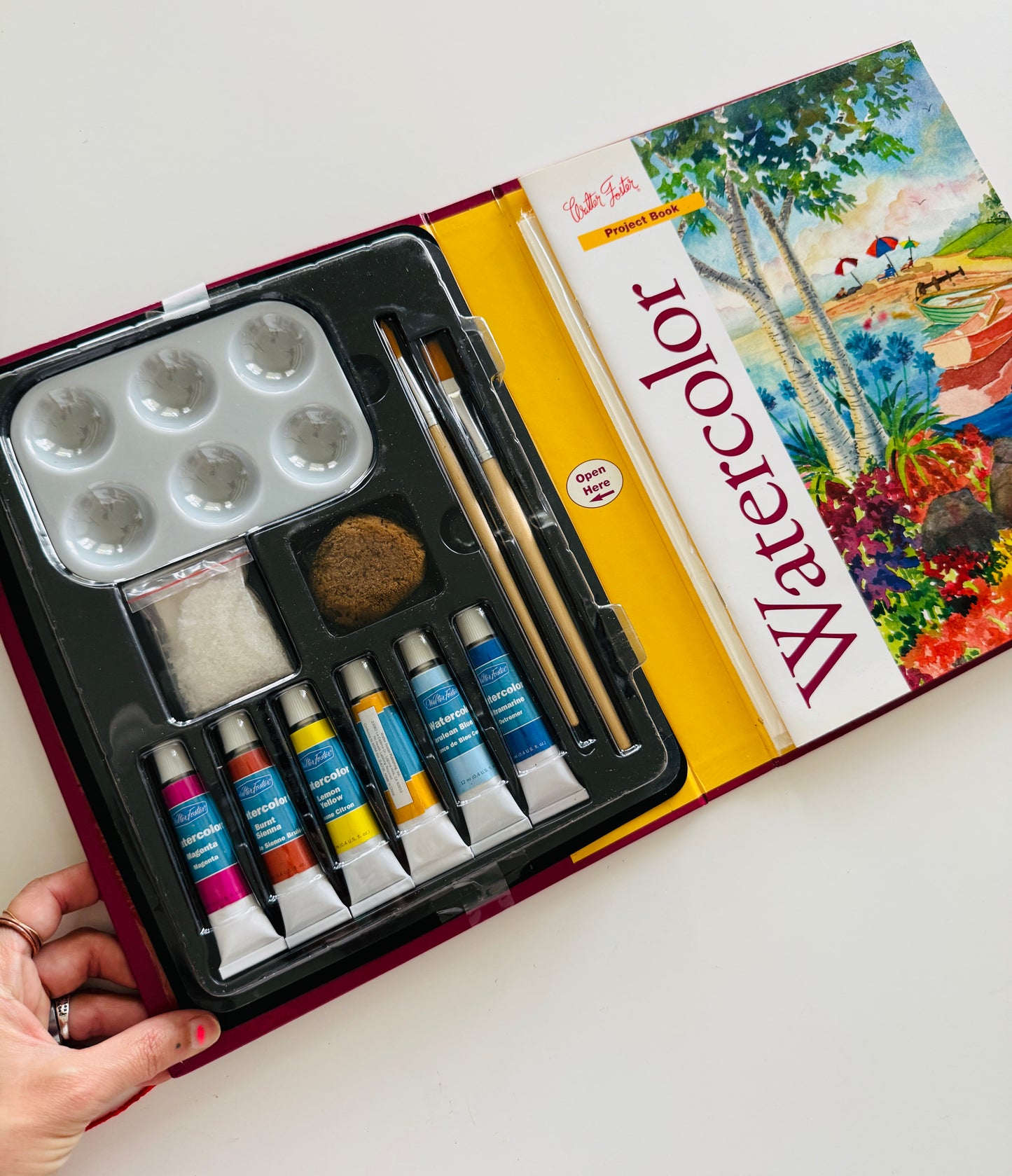 Walter Foster Watercolor Art Book