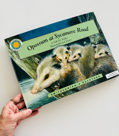 Opossum on Sycamore Road Kids Book