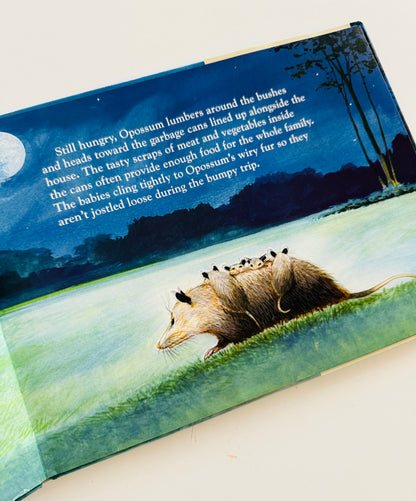 Opossum on Sycamore Road Kids Book