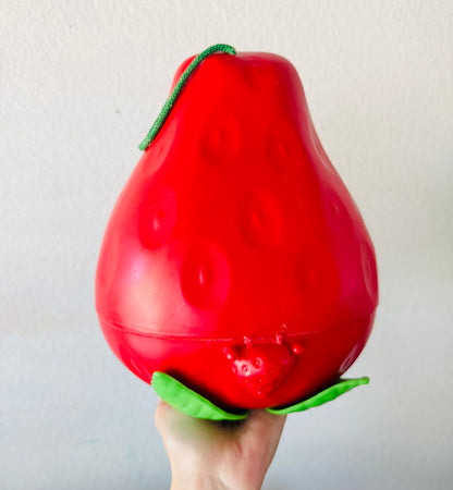 Vintage Strawberry Shortcake Carry Case