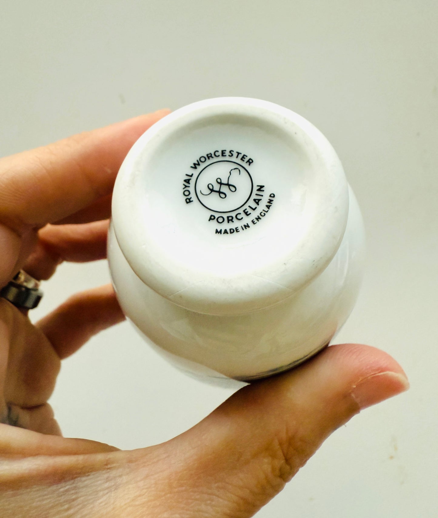 Vintage Royal Worcester Bird Egg Coddler