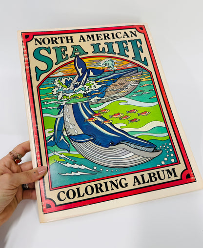 North American Sea Life Coloring Book