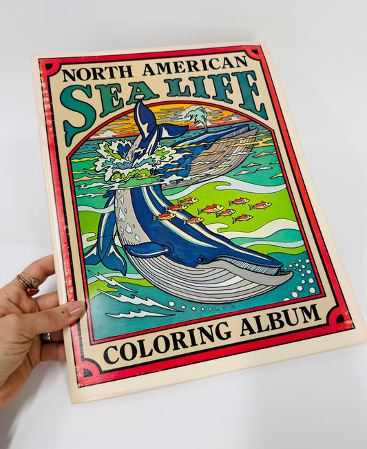 North American Sea Life Coloring Book