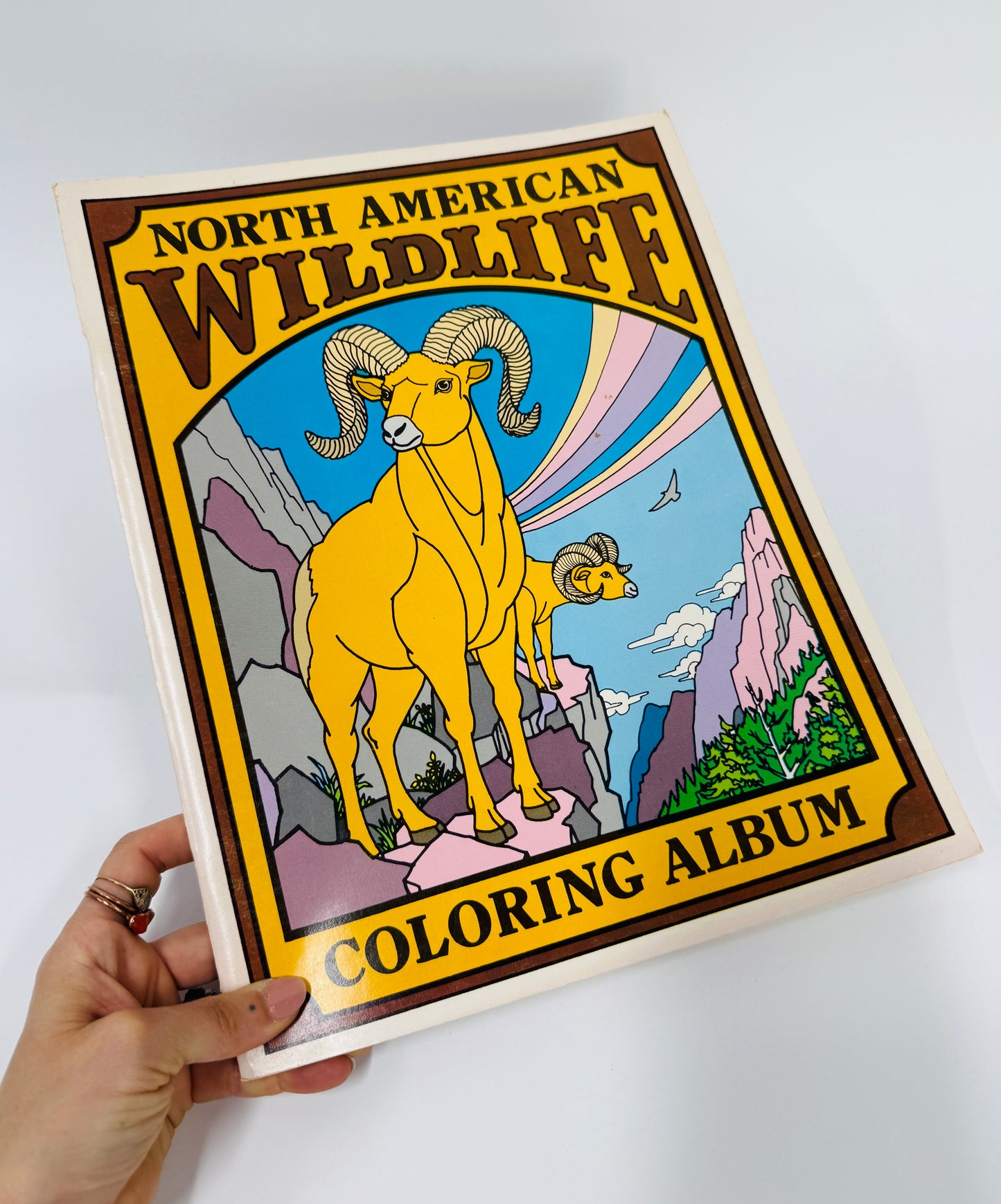 North American Wildlife Coloring Book