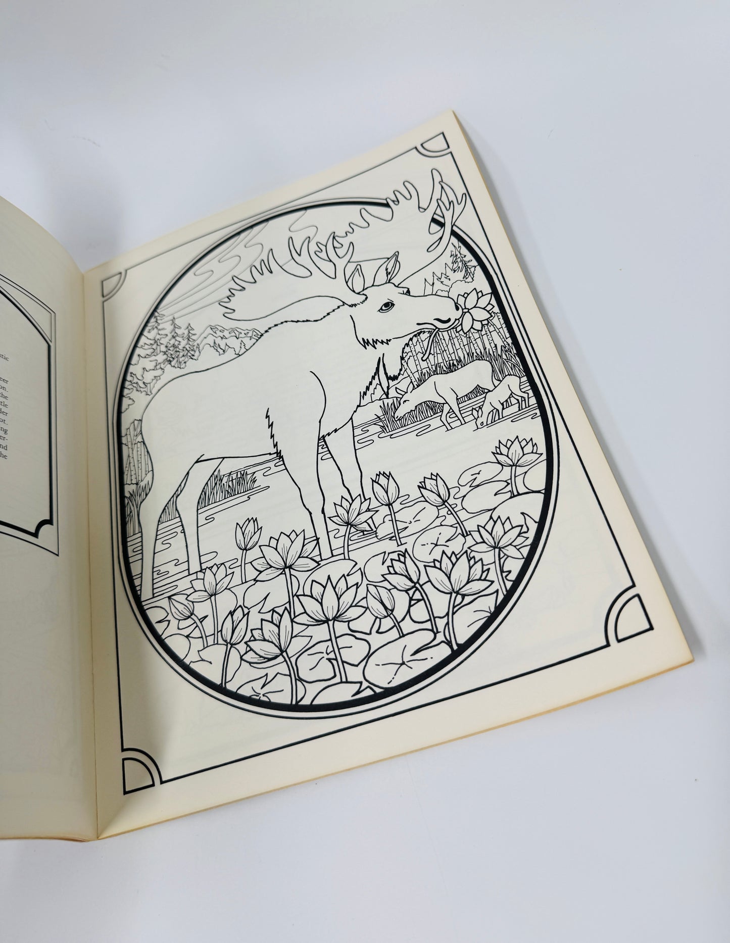 North American Wildlife Coloring Book