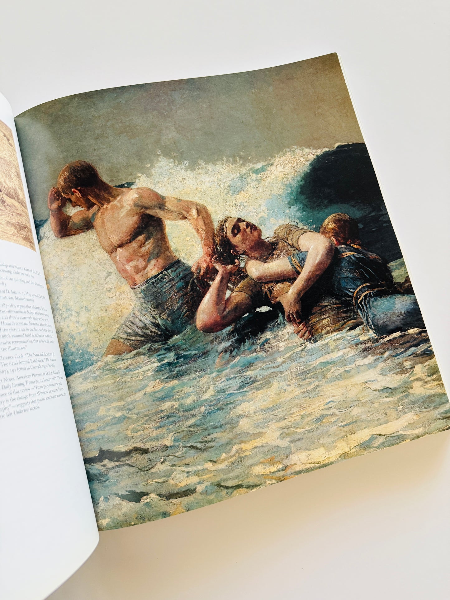 Winslow Homer Art Book