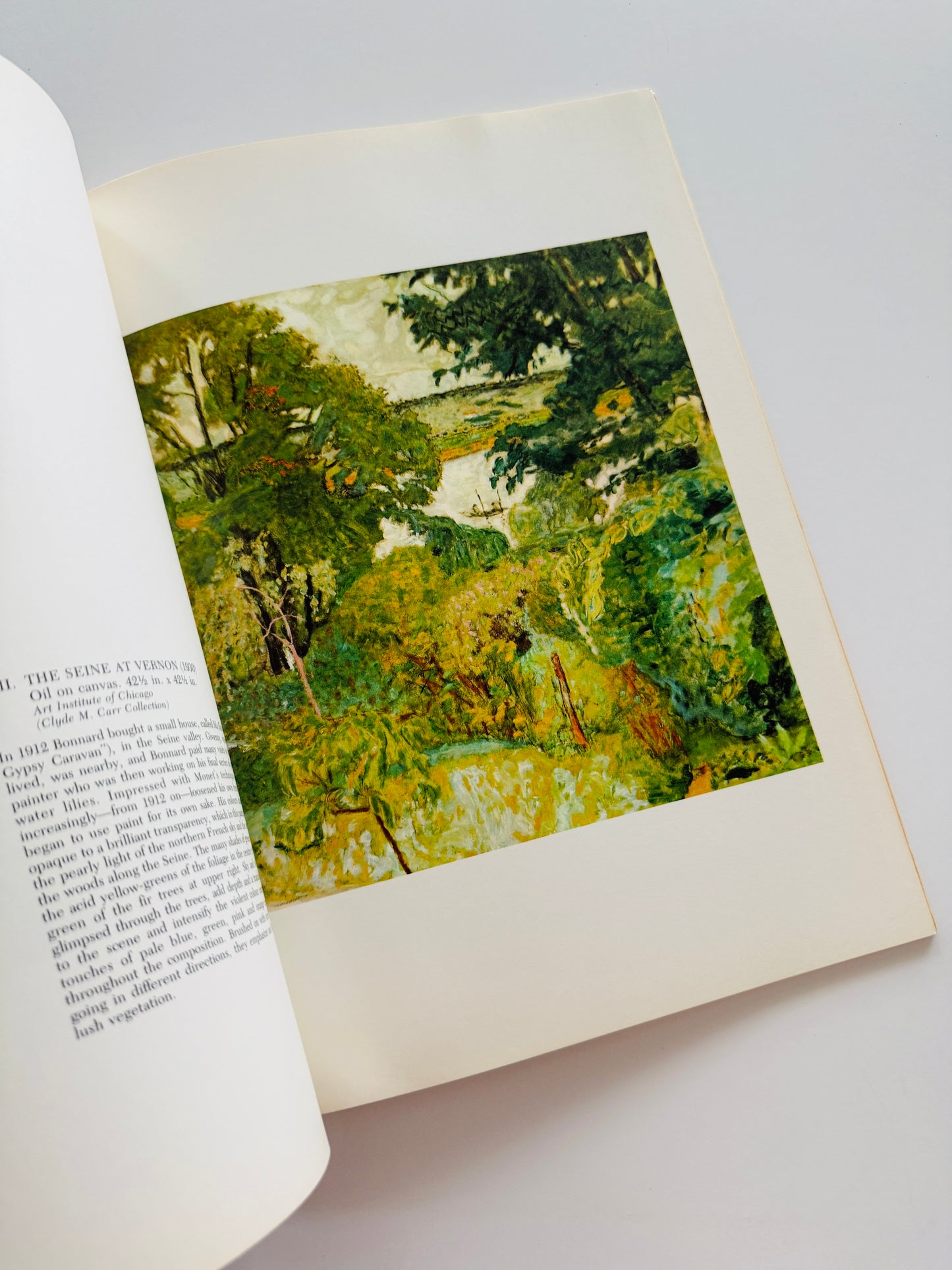 The Great Artists Bonnard Art Book
